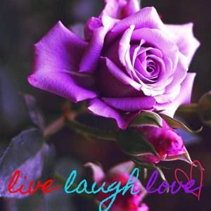 Meet your Posher, Patsy